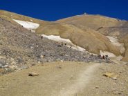 Verso la vetta, che colori..