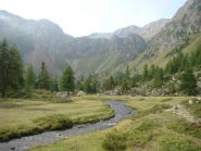 nel vallone del Comboe