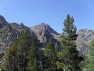 vista sul monte Avic