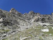 l'ambiente selvaggio