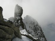 L'onda nevosa e l'Androsace