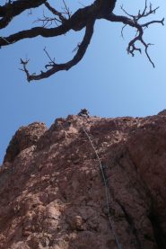 Su Mirliton productions