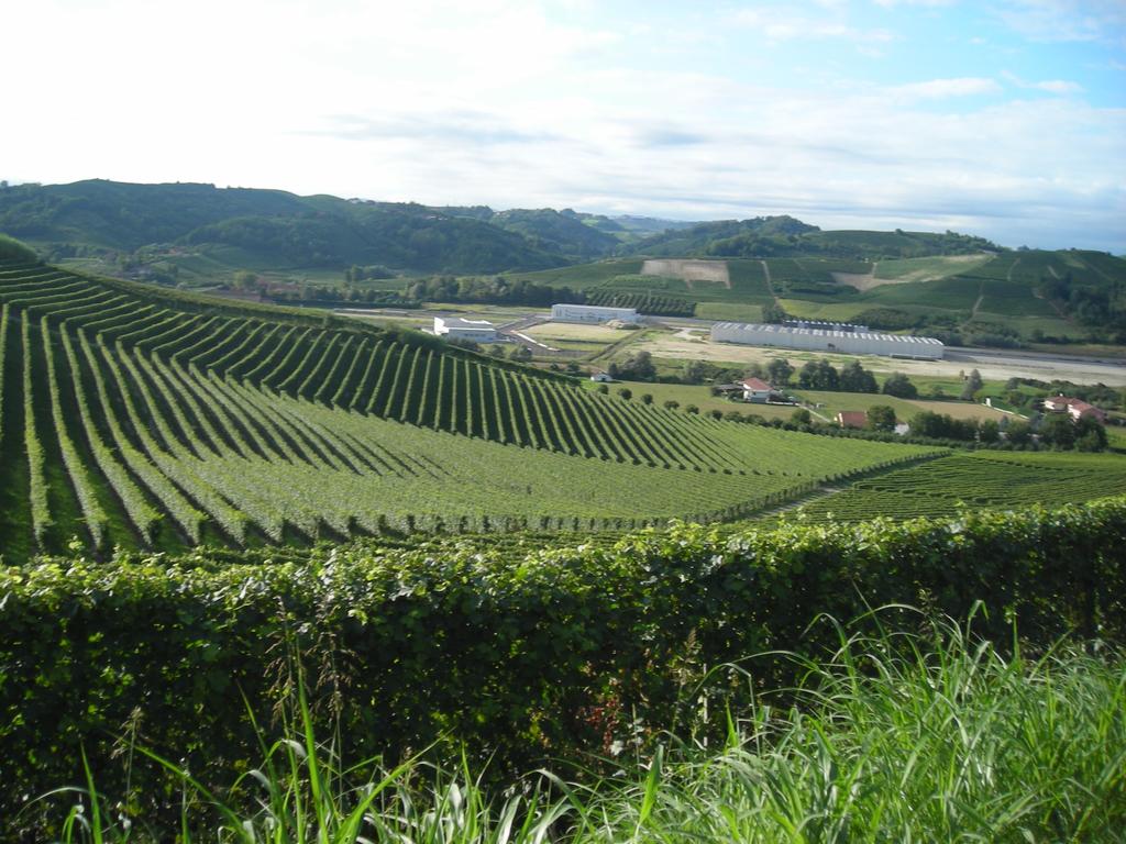 Vigneti dopo Monteu Roero 