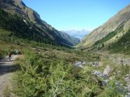 il lungo vallone di Fenis