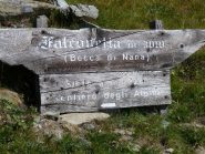 indicazione che ha seguito devila in salita