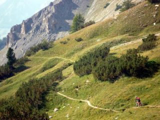 la pineta verso Bersezio