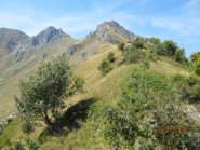 Cresta E dalla Croce Baral