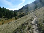 scendendo agli chalet, uno sguardo indietro