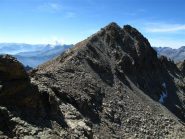 La Dante vista salendo alla Michelis