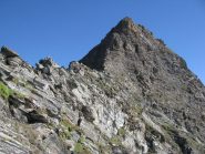 La Testa della Nouva vista dal Colle dell'Arietta