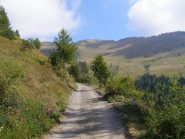 La strada