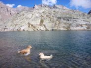 infine un bel bagno....