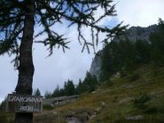 Alpeggi