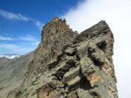 Uno sgaurdo indietro