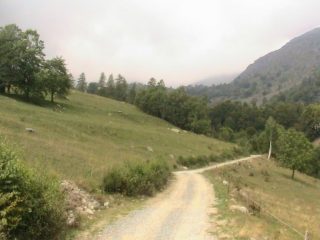 Primi pascoli salendo