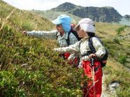un'ultima sosta per scorpacciata di mirtilli