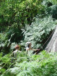 attacco nella foresta