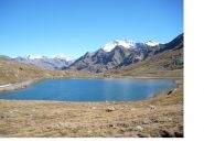 Il Gran Zebru' e il Tresero dal Passo Gavia