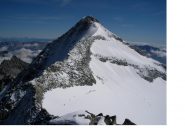 La Presanella  dalla Cima di Vermiglio