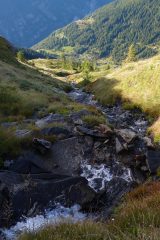 Nelle vicinanze dell' alpe Giove