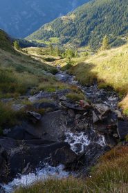 Nelle vicinanze dell' alpe Giove