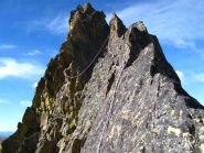 Sempre più affilata