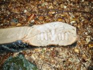 scultura in legno