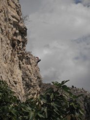 max alla sosta di scacco matto