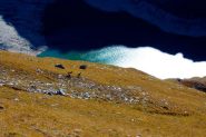 caduta libera verso il lago