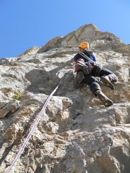Ferocius e in alto la fessura