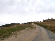 in salita