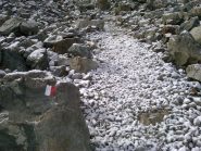 il sentiero innevato