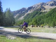 inizio del Plan Peyron