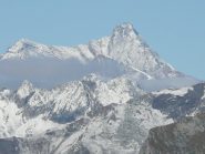 Grivola e suo gruppo dal Cavalcurt