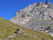 Ci avviciniamo al canalone