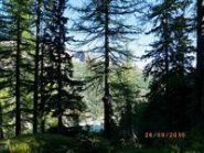 il lago di Ceresole nascosto dai larici...(foto Stefano Bonino)