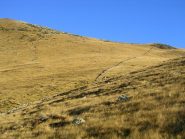 Terminone, lungo muro a secco usato in passato per dividere i pascoli