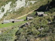 Alpe Menta