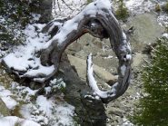 opera d'arte naturale sul percorso