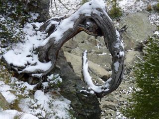 opera d'arte naturale sul percorso