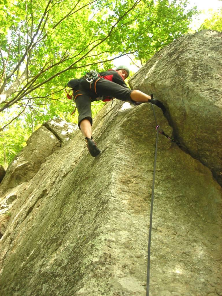 block65 su Uomini e topi