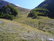 Pascoli nel Vallone del Cros