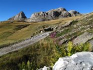 Sulla strada per Limone