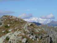 Cima Bersella con Rosa sullo sfondo.