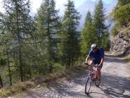 Maurizio sale