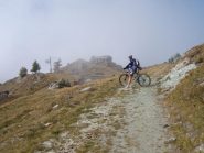 io e il giardino botanico