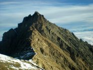 La Grivola dalla Bianca