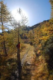 tra i colori d'autunno