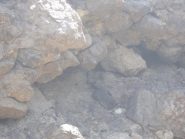 12 - Questa arvicola ha rallegrato il nostro pranzo in riva al lago cibandosi delle croste del formaggio