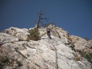 Alberto apre sulle placche finali